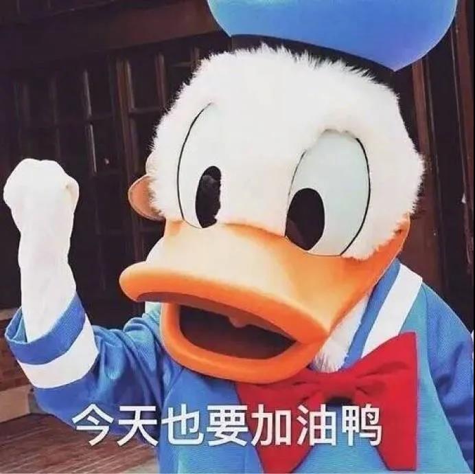 鑫慧迪教育法国名校高端成功案例分享来啦！
