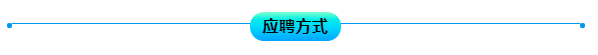 高质量实习  人民网法文版招聘实习生