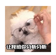 巴黎八大、洛林大学、鲁昂大学，在法升学3个offer！太顶了！