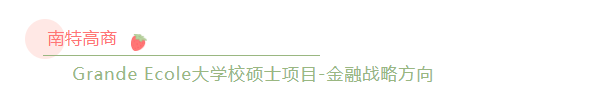毕业生起薪30w-35w/年，战略咨询专业在法国有哪些选择?