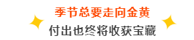 自认“咸鱼”的我,拿到了IP联盟中工程师院校的录取 自认“咸鱼”的我,拿到了IP联盟中工程师院校的录取