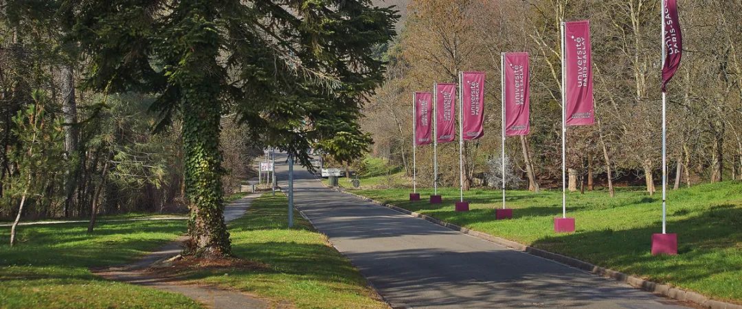 公立大学入学“捷径”！法语B1可申请，这些预科项目不容错过！